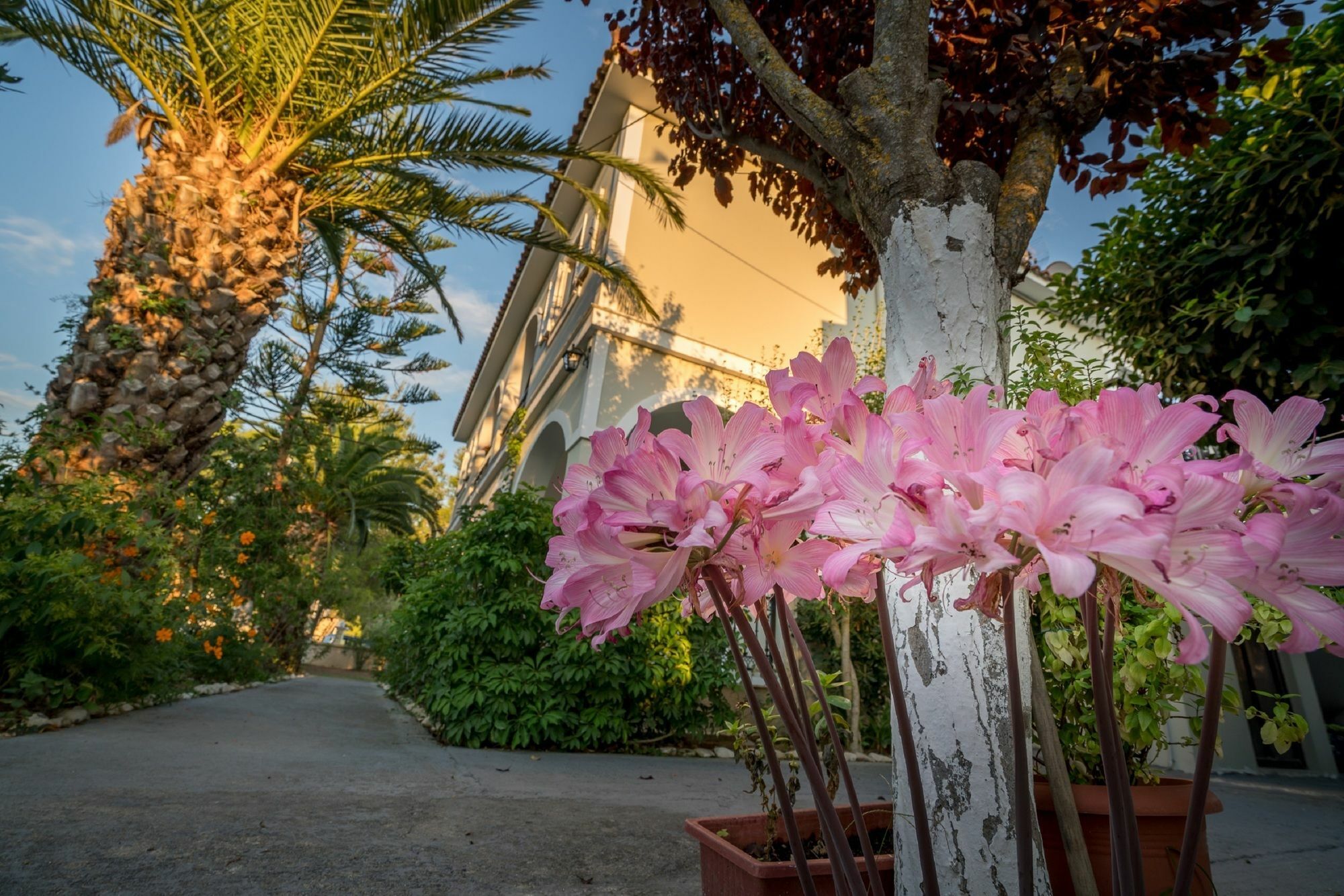 Tota Studios Tsilivi  Exteriör bild