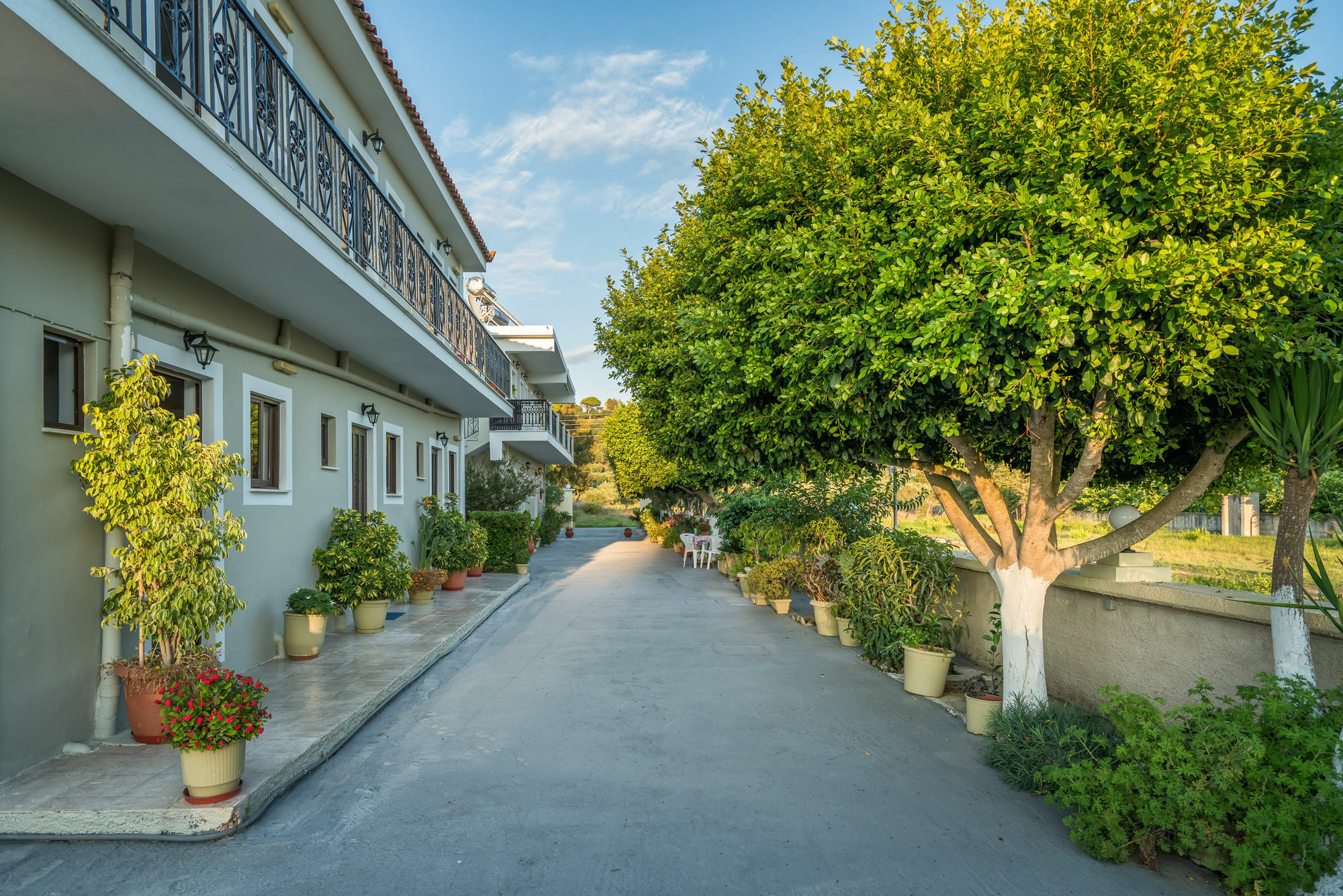 Tota Studios Tsilivi  Exteriör bild